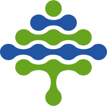 Silicon Source logo: stacked atoms forming a tree and network